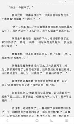 不提供护照可以申请埃及签证吗